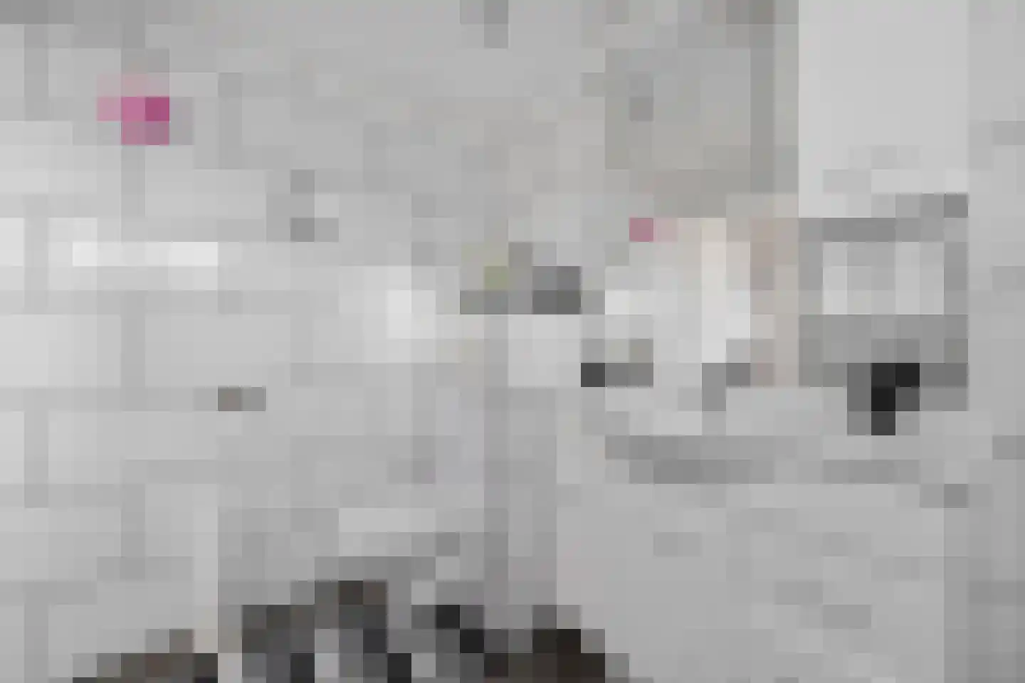 De Blokken 57 Zwartemeer thumbnail 24
