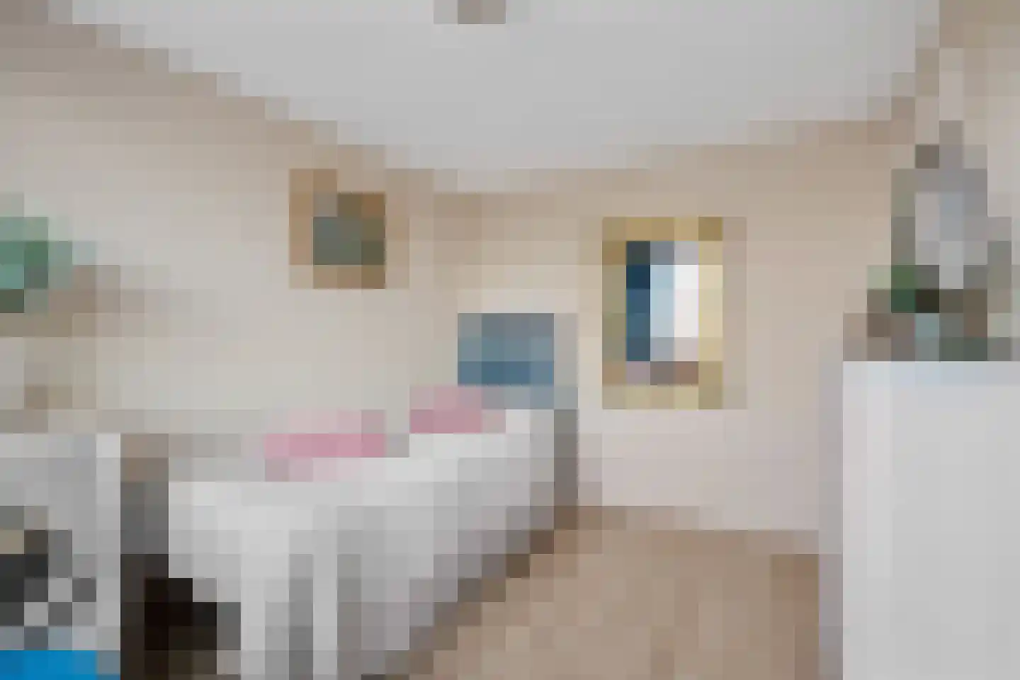 De Blokken 57 Zwartemeer thumbnail 31