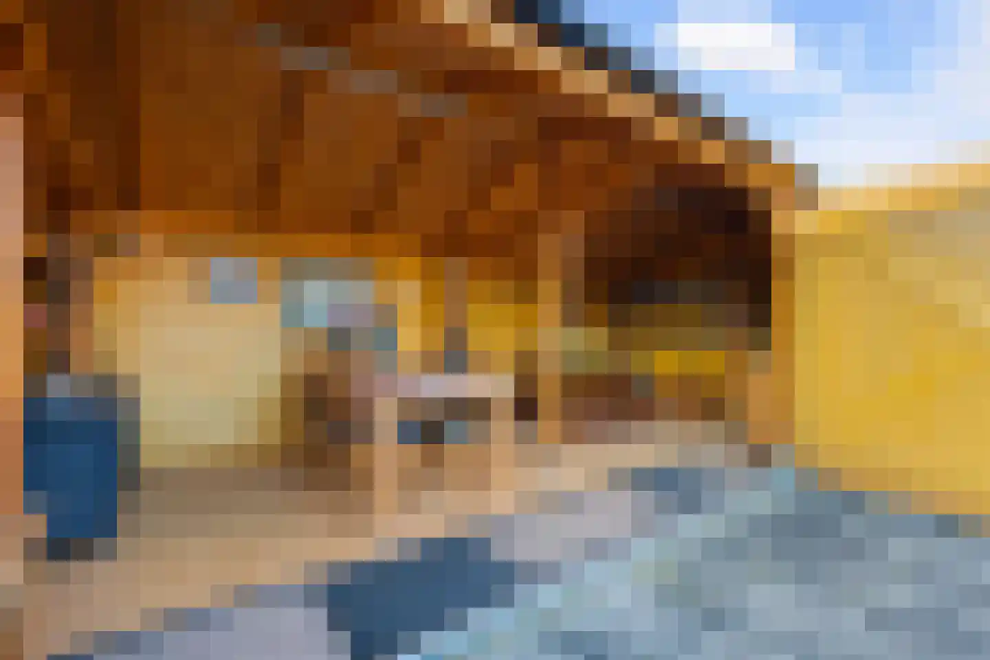 De Blokken 57 Zwartemeer thumbnail 36