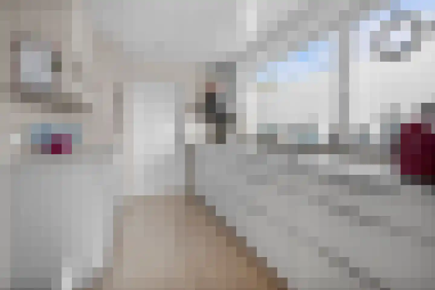 De Blokken 57 Zwartemeer thumbnail 6