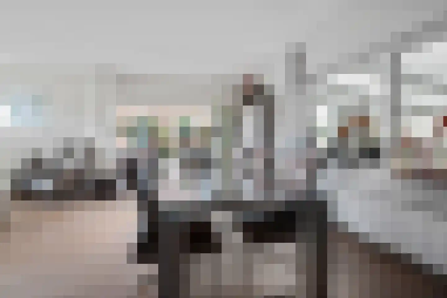 De Blokken 57 Zwartemeer thumbnail 9