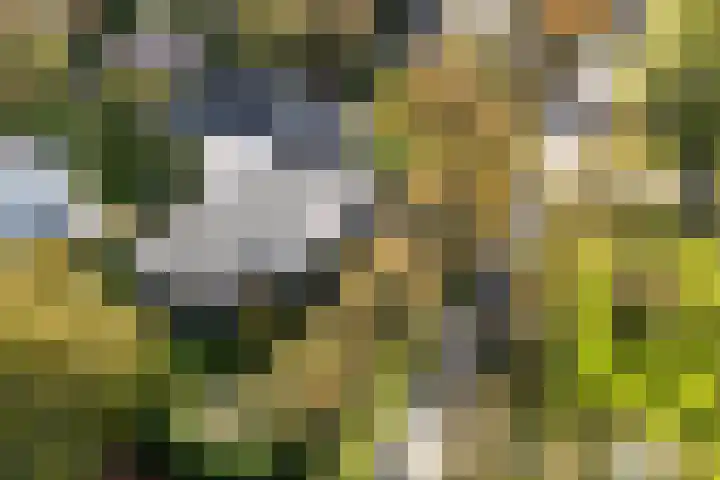 De Blomhof 14 Heiloo