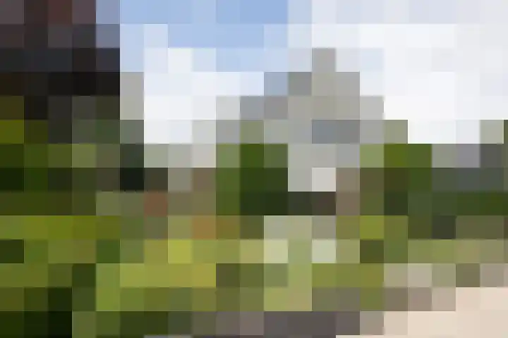 De Blomhof 14 Heiloo thumbnail 30
