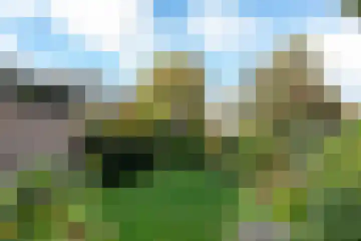 De Blomhof 14 Heiloo thumbnail 32