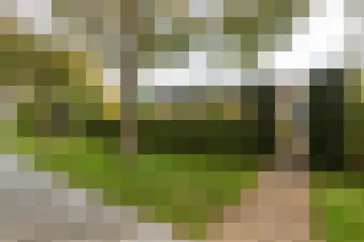 De Blomhof 14 Heiloo thumbnail 40