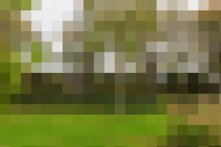 De Blomhof 14 Heiloo thumbnail 43