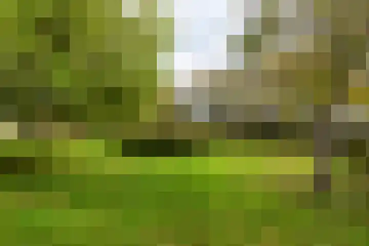 De Blomhof 14 Heiloo thumbnail 44