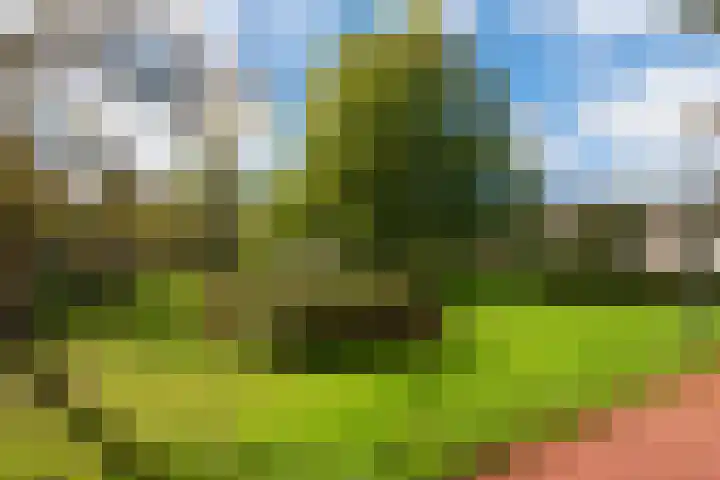 De Blomhof 14 Heiloo thumbnail 45