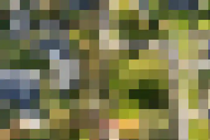 De Blomhof 14 Heiloo thumbnail 47