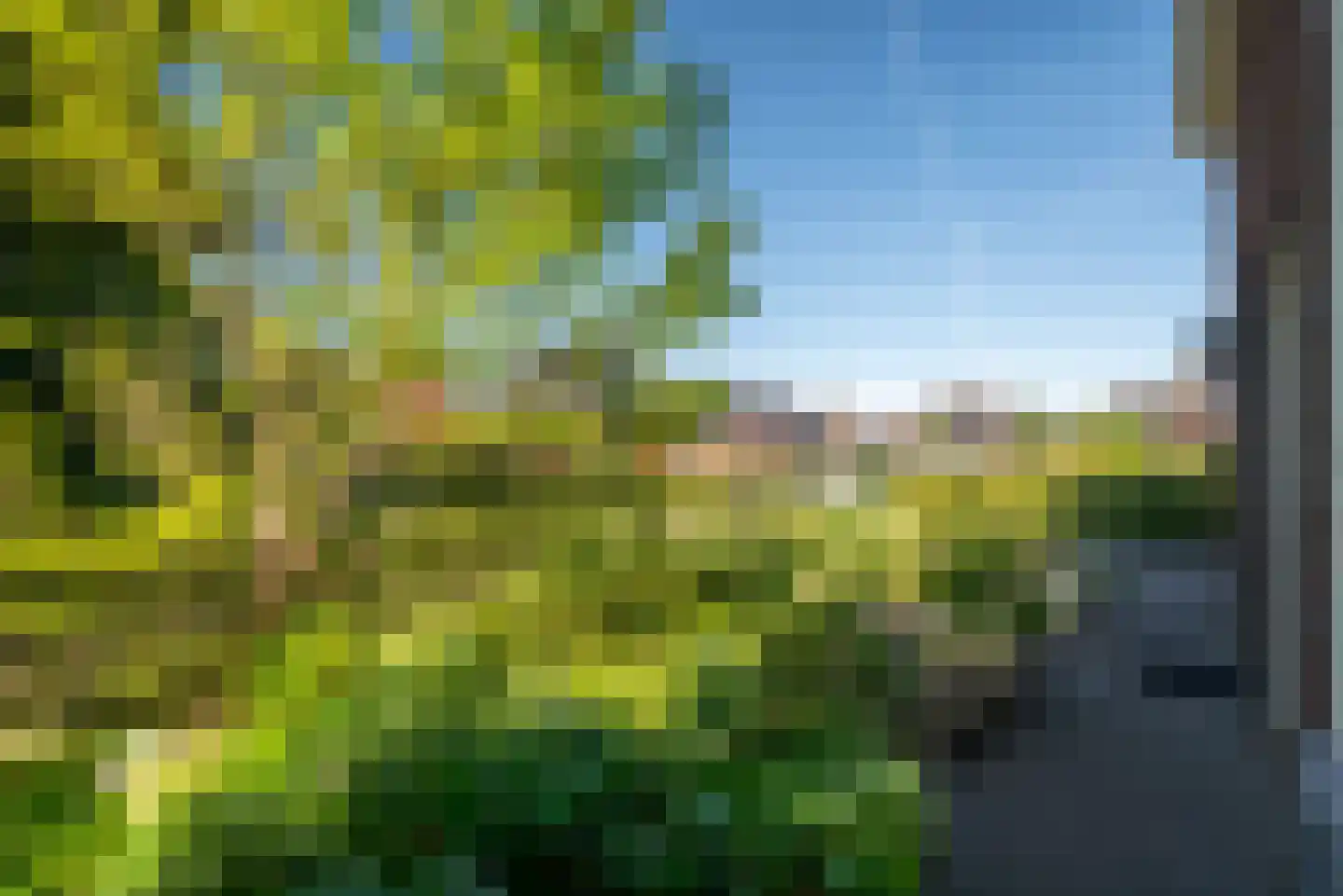 De Blouvenne 3 Haren Gn thumbnail 16