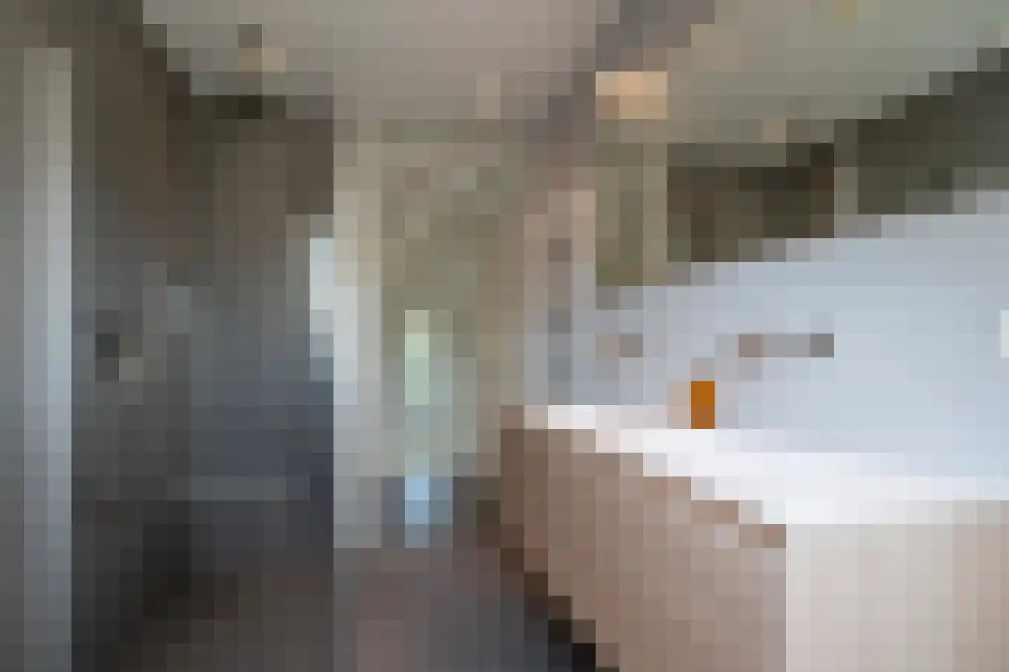 De Blouvenne 3 Haren Gn thumbnail 45