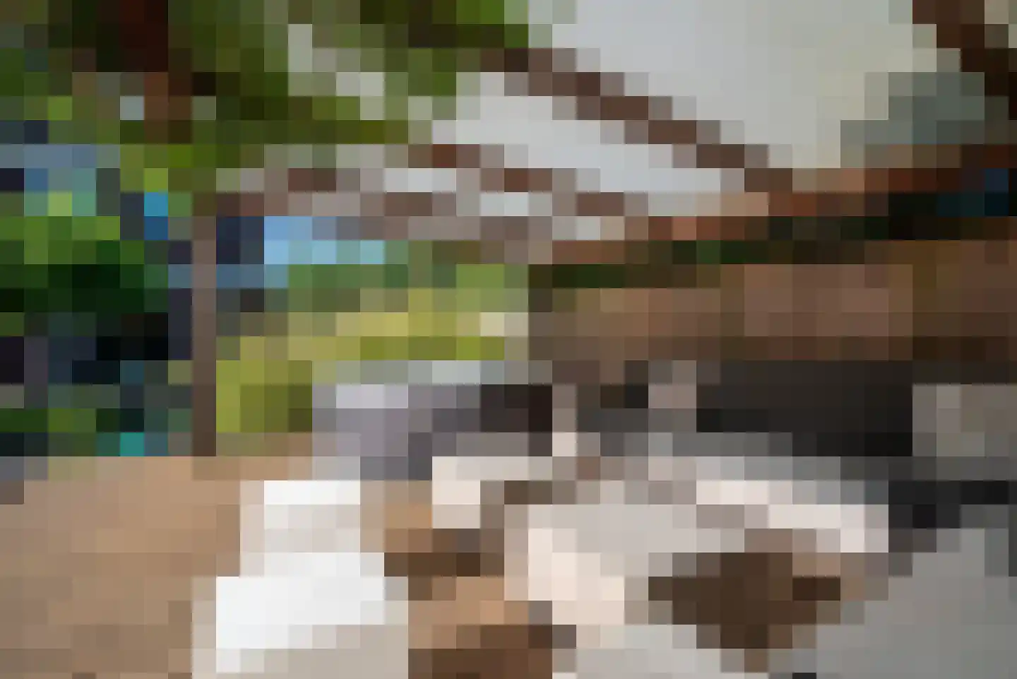 De Blouvenne 3 Haren Gn thumbnail 58
