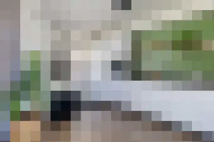 De Boarch 31 Grou thumbnail 20