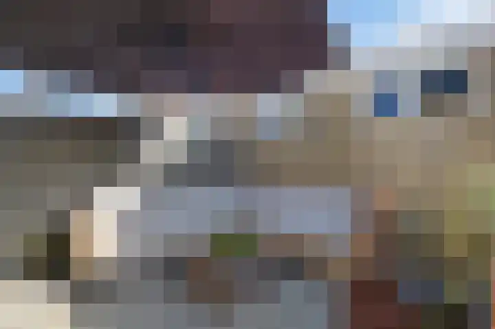 De Boarch 31 Grou thumbnail 34
