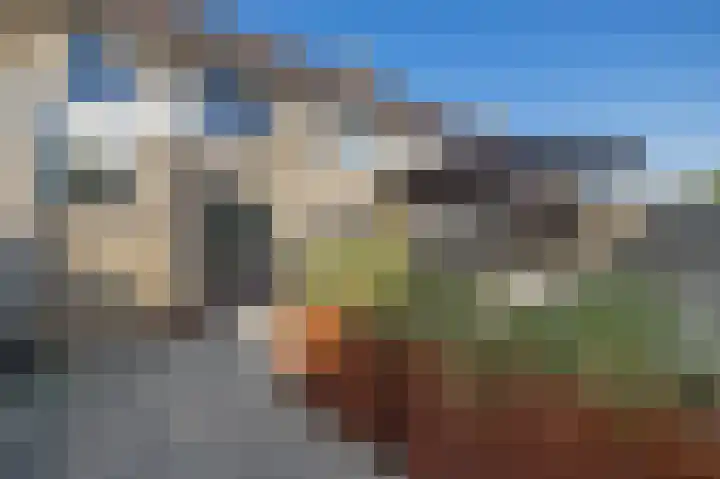 De Boarch 31 Grou thumbnail 38