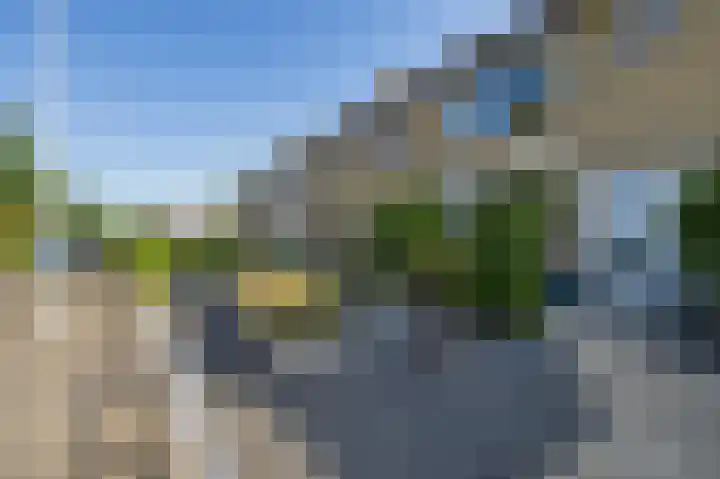 De Boarch 31 Grou thumbnail 4