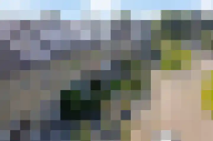 De Boarch 31 Grou thumbnail 41