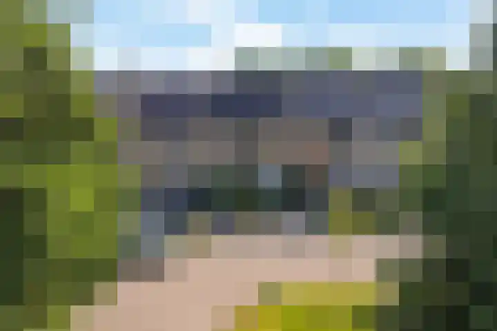 De Boarch 31 Grou thumbnail 42
