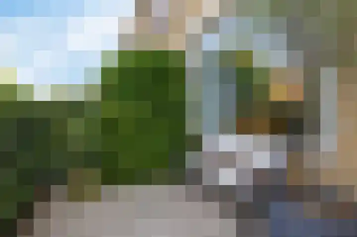 De Boarch 31 Grou thumbnail 5
