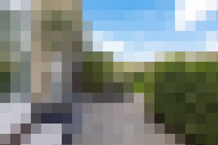 De Boarch 31 Grou thumbnail 6
