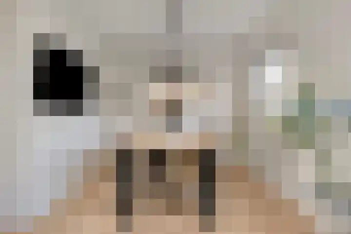 De Boarch 6 Grou thumbnail 11