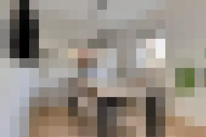 De Boarch 6 Grou thumbnail 12