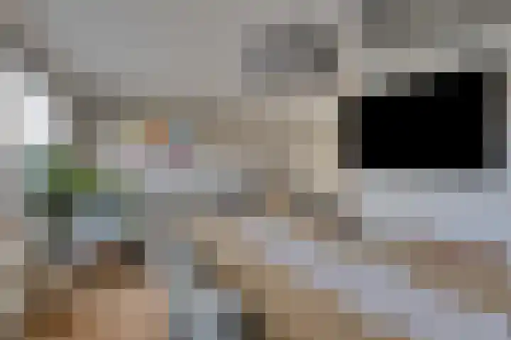 De Boarch 6 Grou thumbnail 13