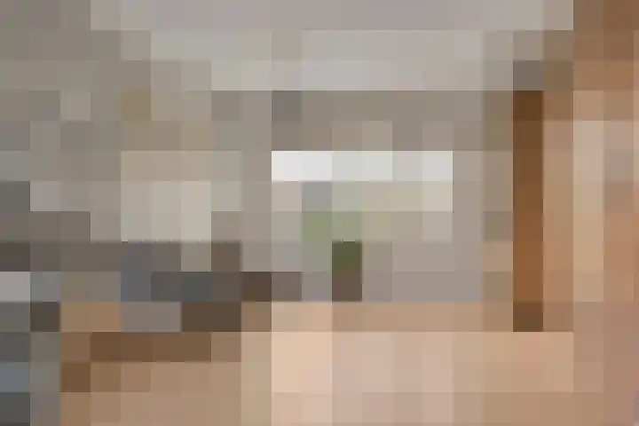 De Boarch 6 Grou thumbnail 14