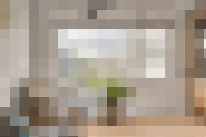 De Boarch 6 Grou thumbnail 15