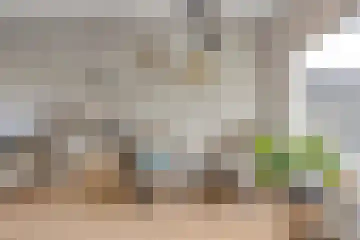 De Boarch 6 Grou thumbnail 16