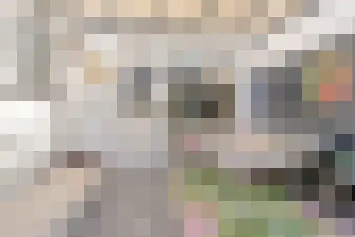 De Boarch 6 Grou thumbnail 17