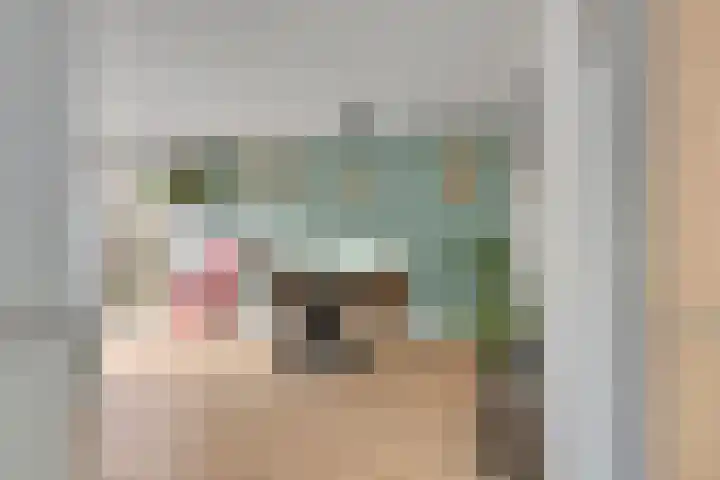 De Boarch 6 Grou thumbnail 24