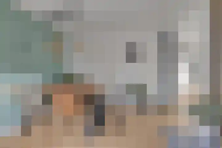 De Boarch 6 Grou thumbnail 25