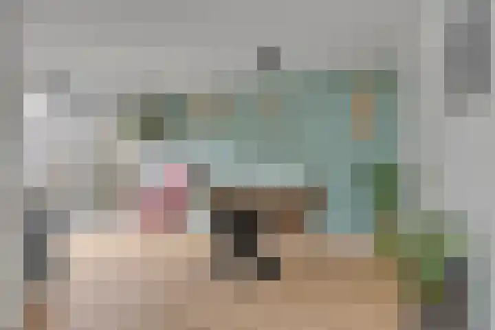 De Boarch 6 Grou thumbnail 26