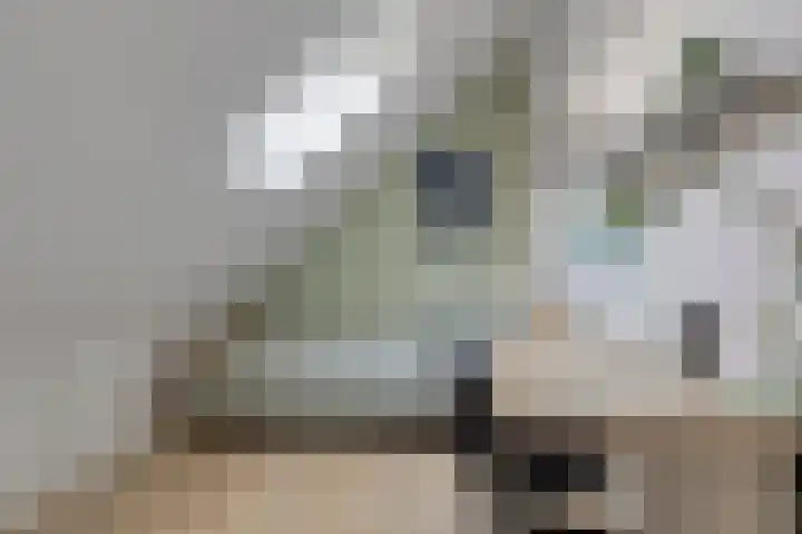 De Boarch 6 Grou thumbnail 40