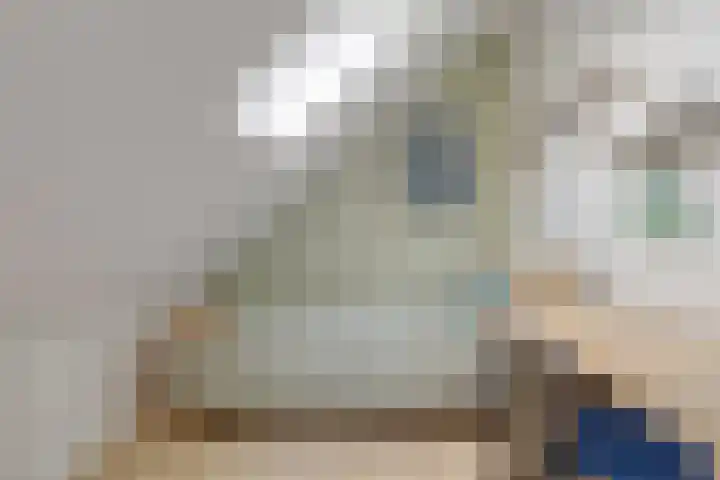 De Boarch 6 Grou thumbnail 41