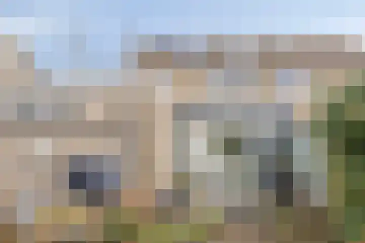 De Boarch 6 Grou thumbnail 44