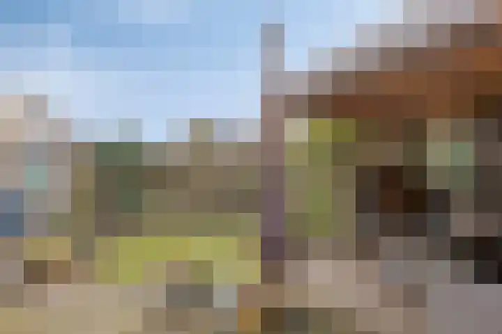 De Boarch 6 Grou thumbnail 46