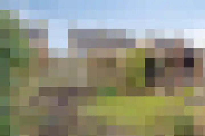 De Boarch 6 Grou thumbnail 47