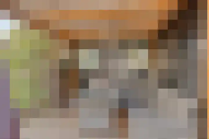 De Boarch 6 Grou thumbnail 48