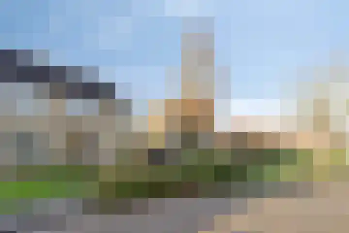 De Boarch 6 Grou thumbnail 50