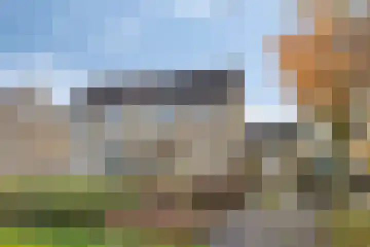 De Boarch 6 Grou thumbnail 51