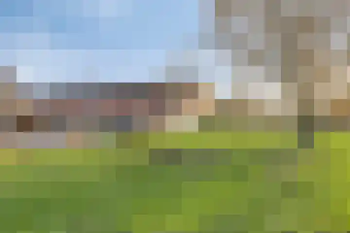 De Boarch 6 Grou thumbnail 52