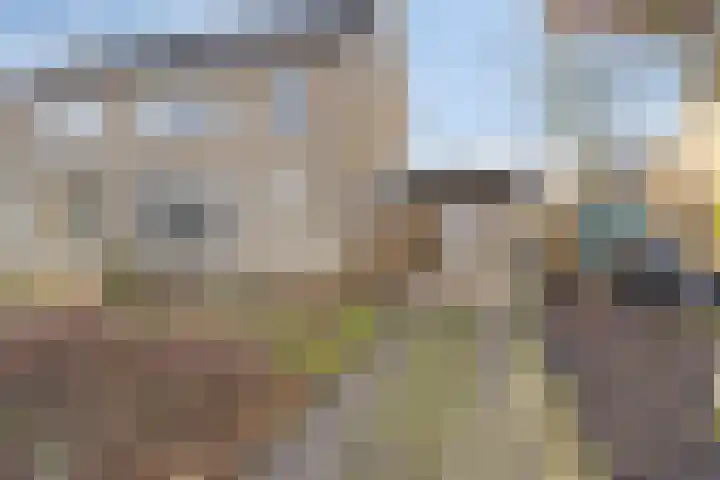 De Boarch 6 Grou thumbnail 53