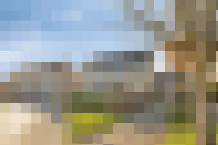 De Boarch 6 Grou thumbnail 54
