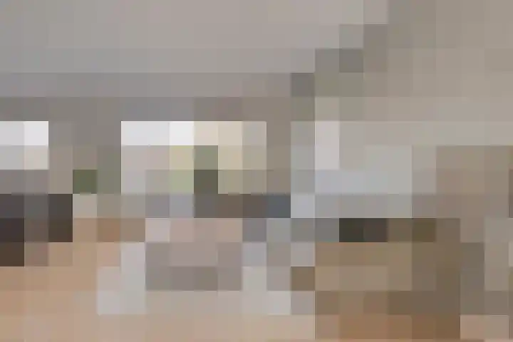 De Boarch 6 Grou thumbnail 7
