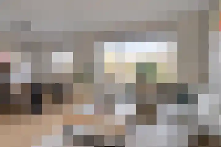 De Boarch 6 Grou thumbnail 8