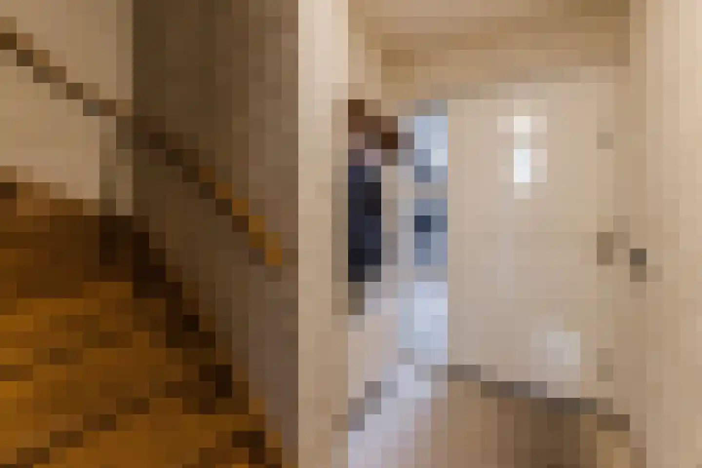 De Bocht 1 Diessen thumbnail 25