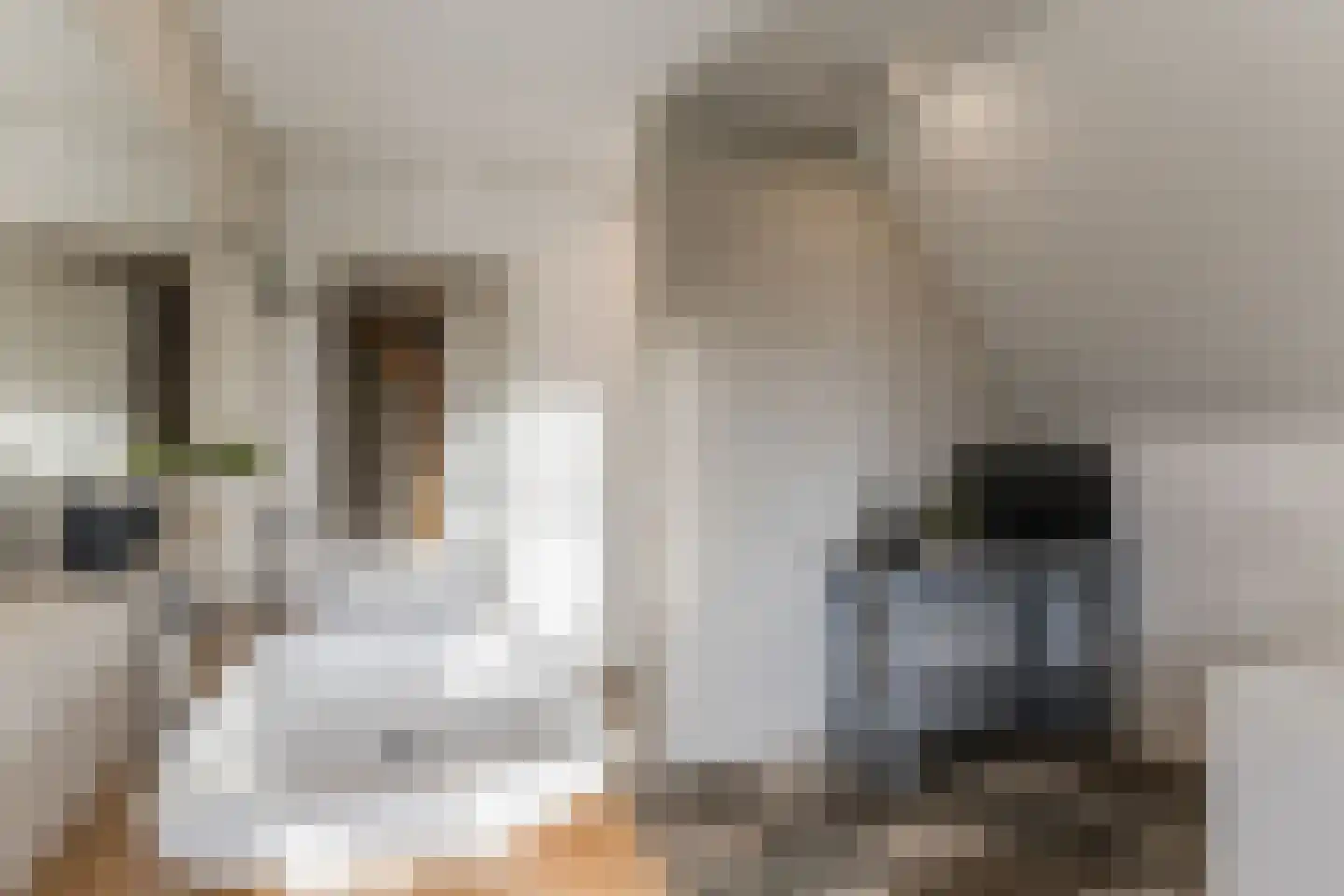 De Bocht 1 Diessen thumbnail 44