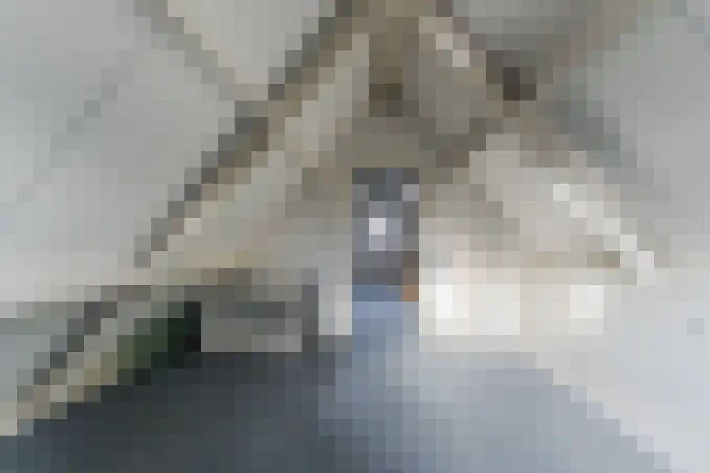 De Bocht 1 Diessen thumbnail 53